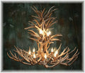 12 Light Reagan Tall Mule Deer Antler Chandelier 42