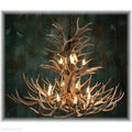 12 Light Reagan Tall Mule Deer Antler Chandelier 42