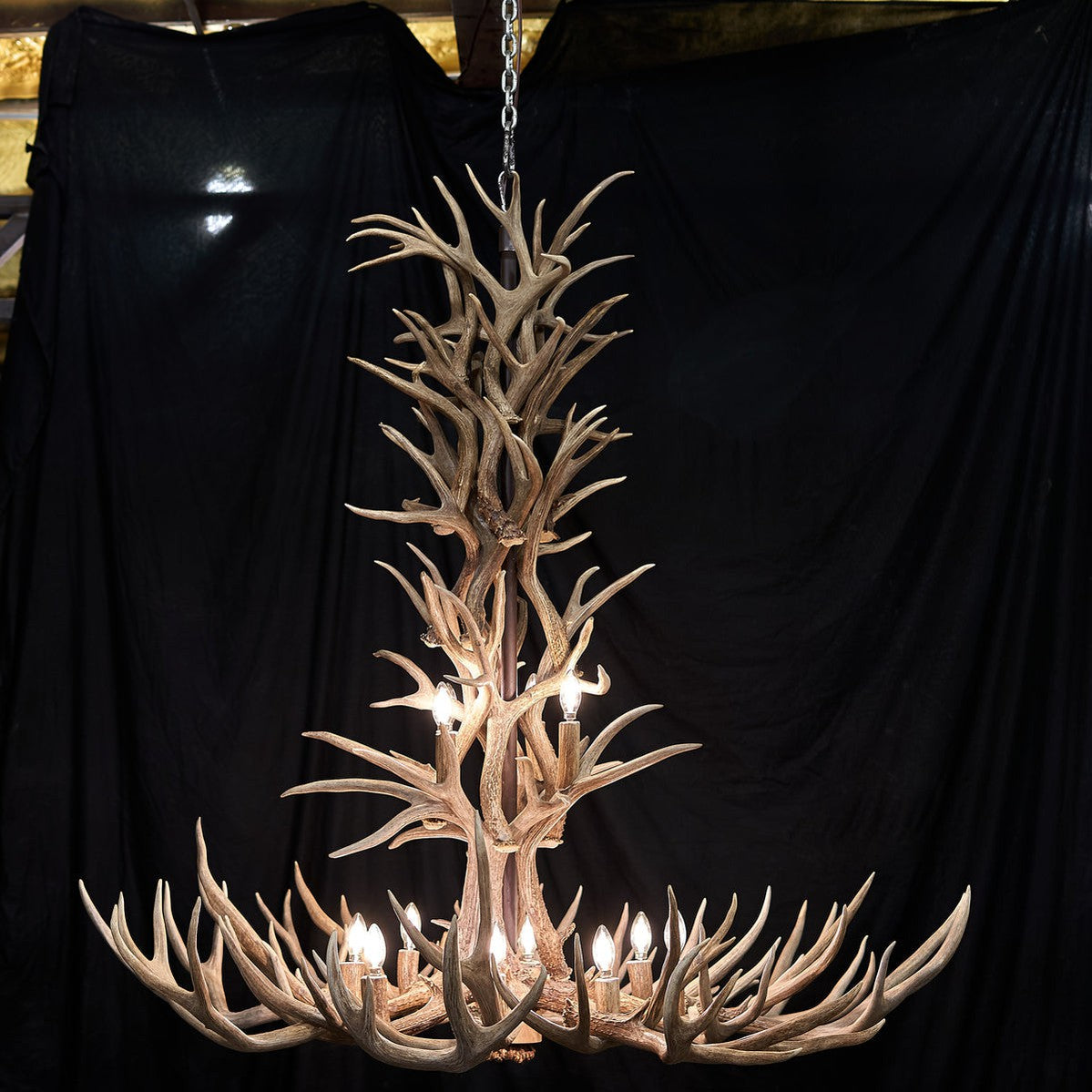 12 Light Reagan Tall Mule Deer Antler Chandelier 42"-Momo Lighting