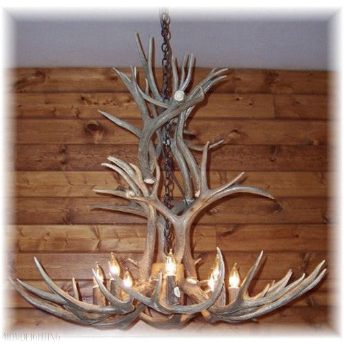 12 Light Reagan Tall Mule Deer Antler Chandelier 42"-Momo Lighting