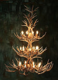 24 Light Reagan Tall Mule Deer Antler Chandelier 60