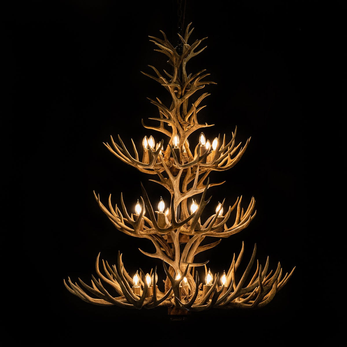 24 Light Reagan Tall Mule Deer Antler Chandelier 60"H-Momo Lighting