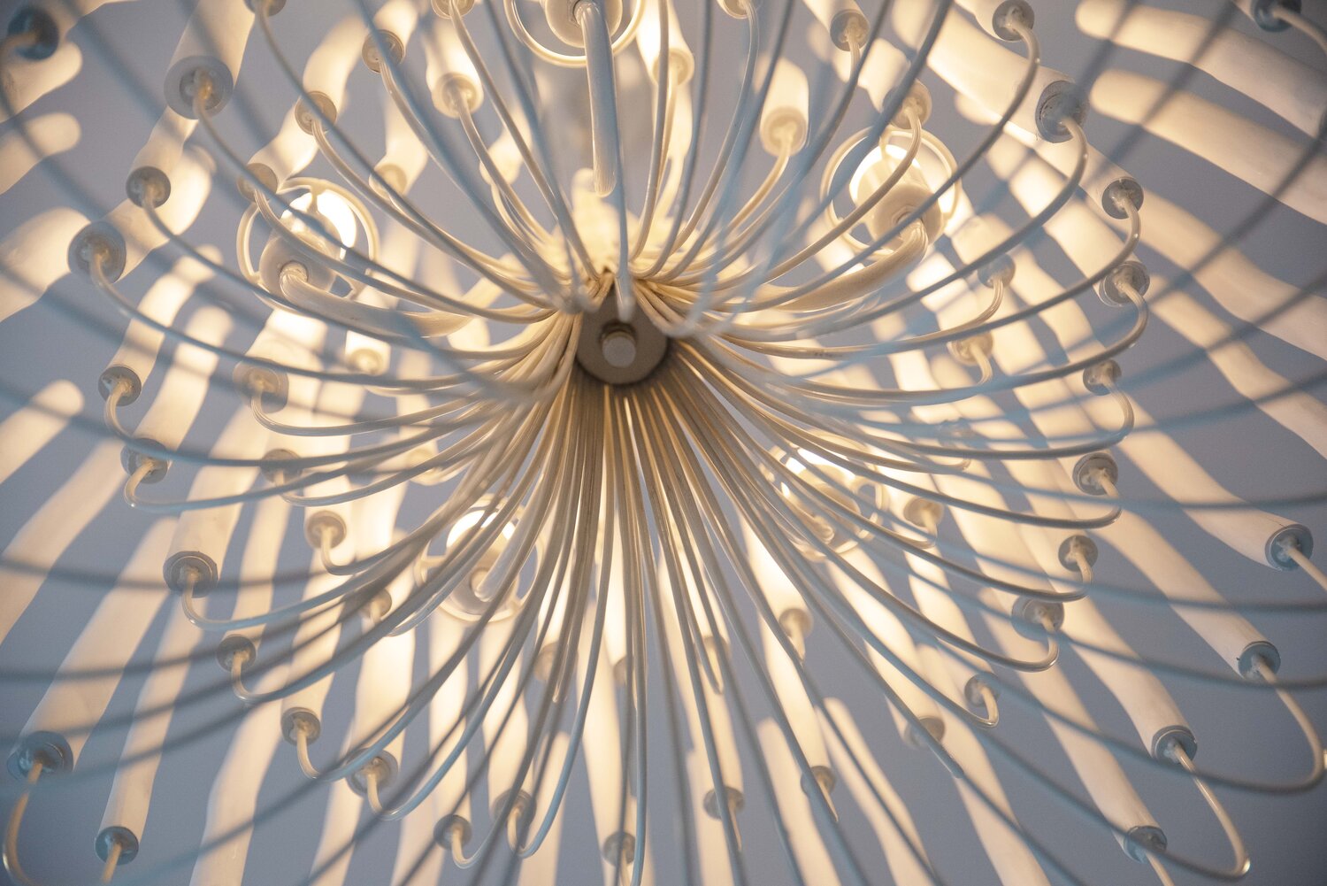 5/6-Light Modern Branch Modeling Chandelier in White or Black for Stylish Interiors-Chandeliers-Blushlighting