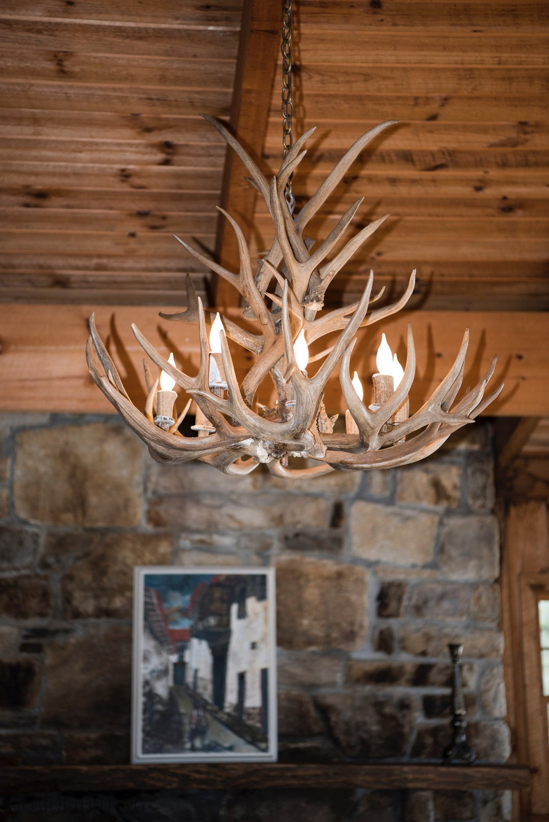 8 Light Reagan Tall Mule Deer Antler Chandelier 20"H-Momo Lighting