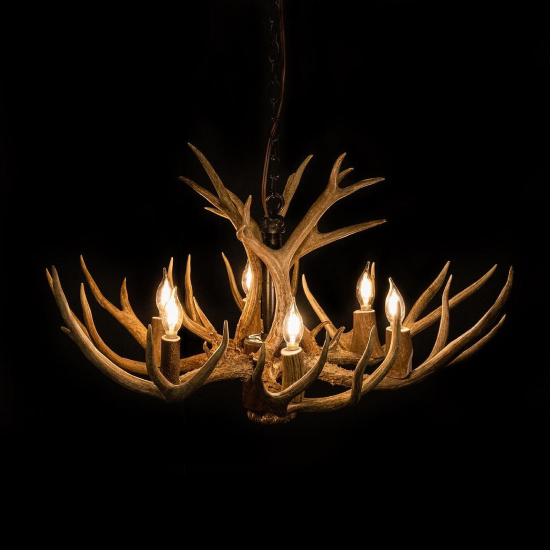 8 Light Reagan Tall Mule Deer Antler Chandelier 24"H-Momo Lighting
