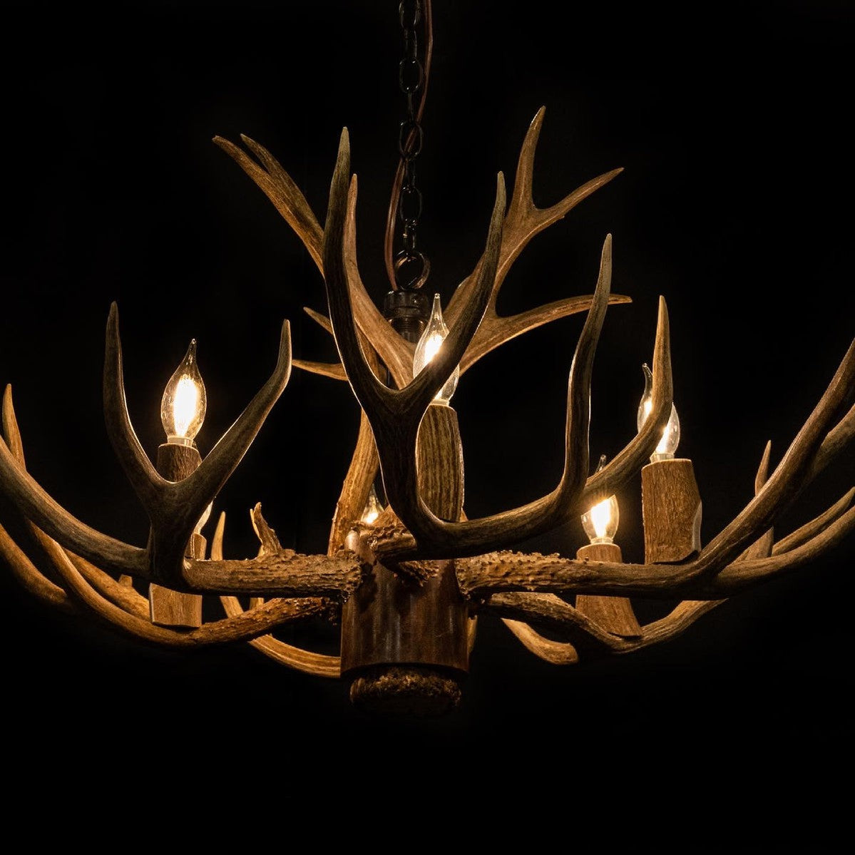 8 Light Reagan Tall Mule Deer Antler Chandelier 24"H-Momo Lighting