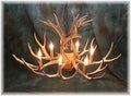 8 Light Reagan Tall Mule Deer Antler Chandelier 24