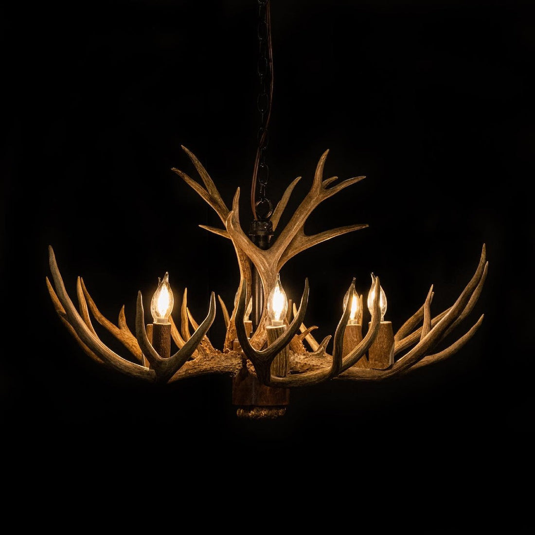 8 Light Reagan Tall Mule Deer Antler Chandelier 24"H-Momo Lighting