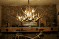 8 Light Reagan Tall Mule Deer Antler Chandelier 36