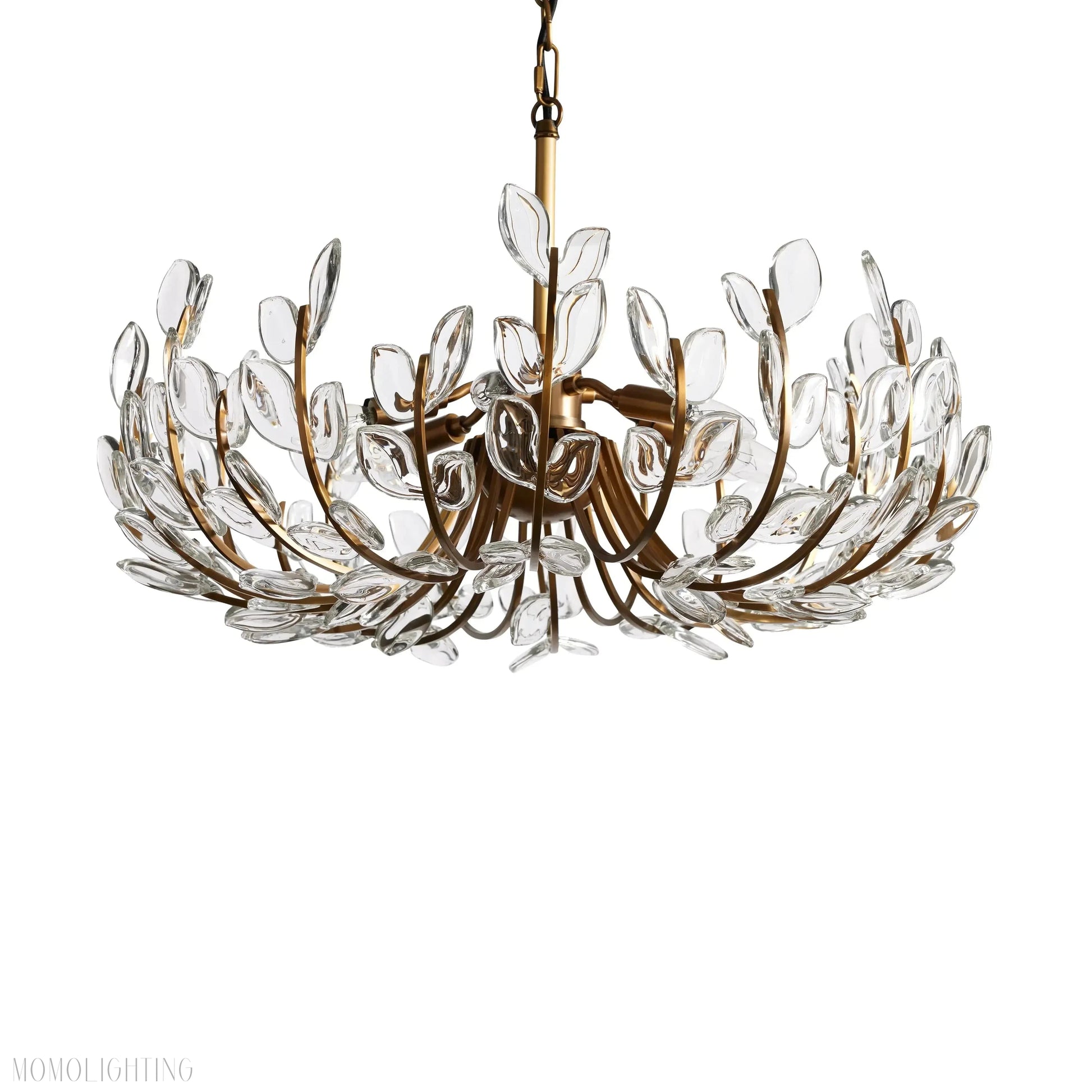 Adela 6 Light Chandelier 26"-Momo Lighting