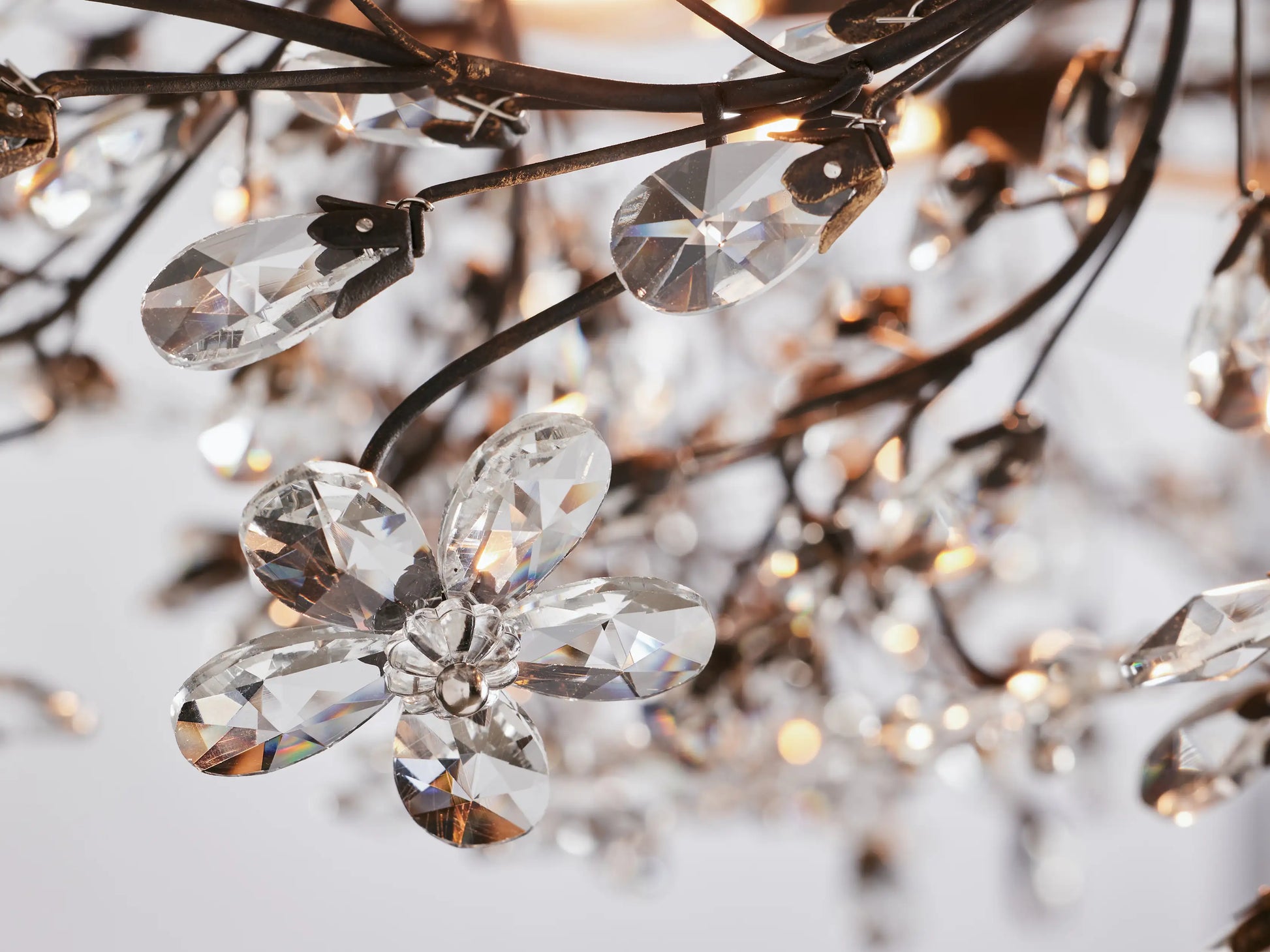 Fiore Crown Chandelier-Momo Lighting