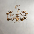 Ninfea Chandelier-Momo Lighting